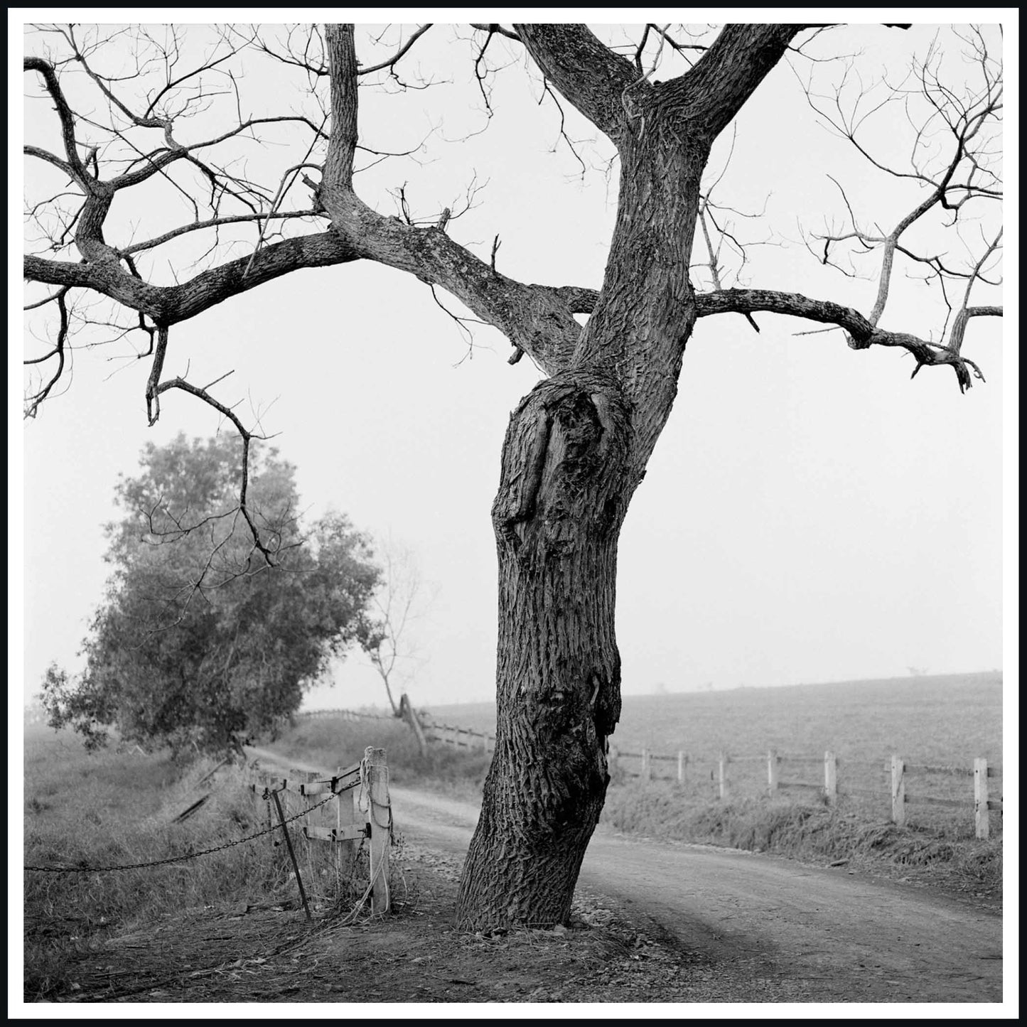 Spirit, Tranquility, and Landscape 36