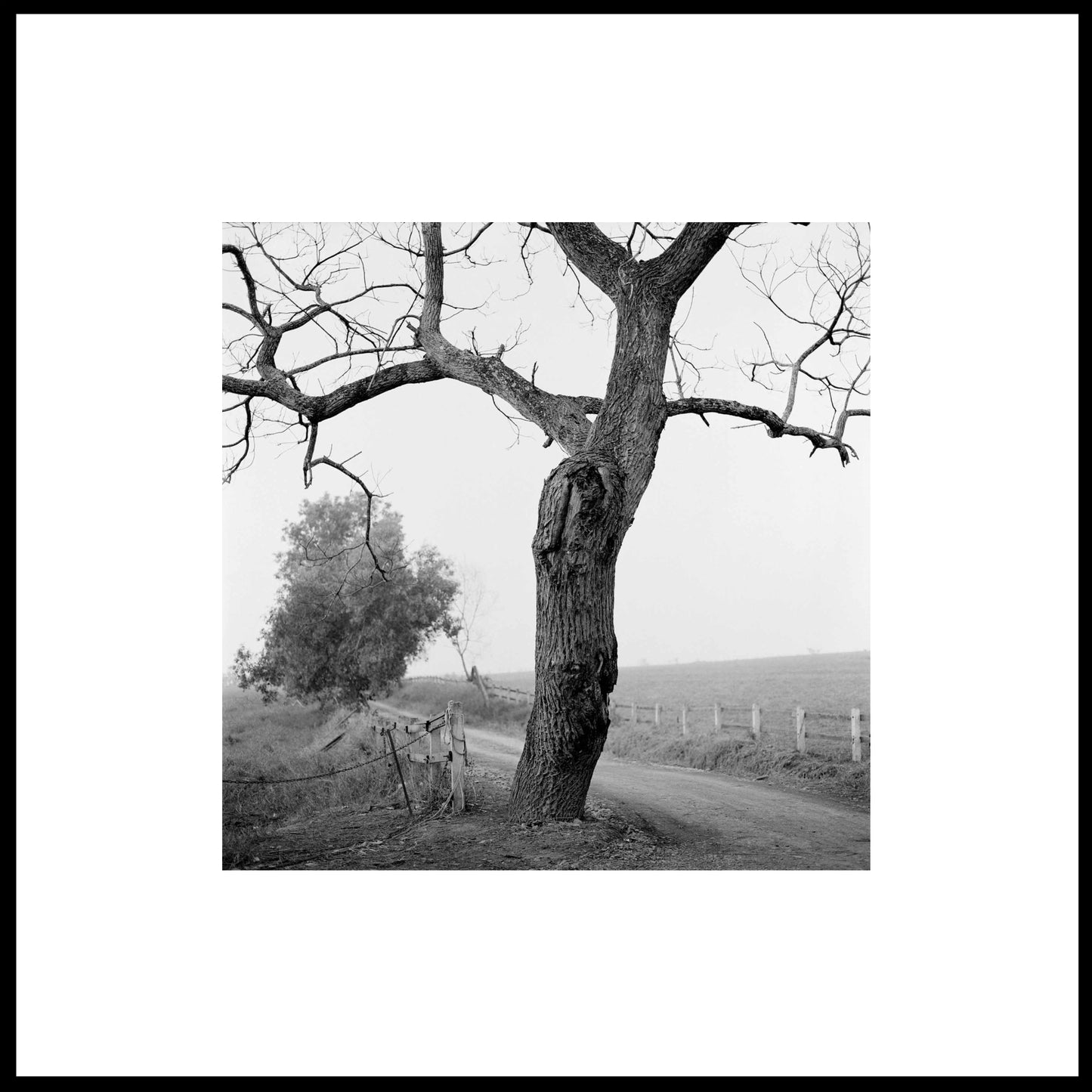 Spirit, Tranquility, and Landscape 36