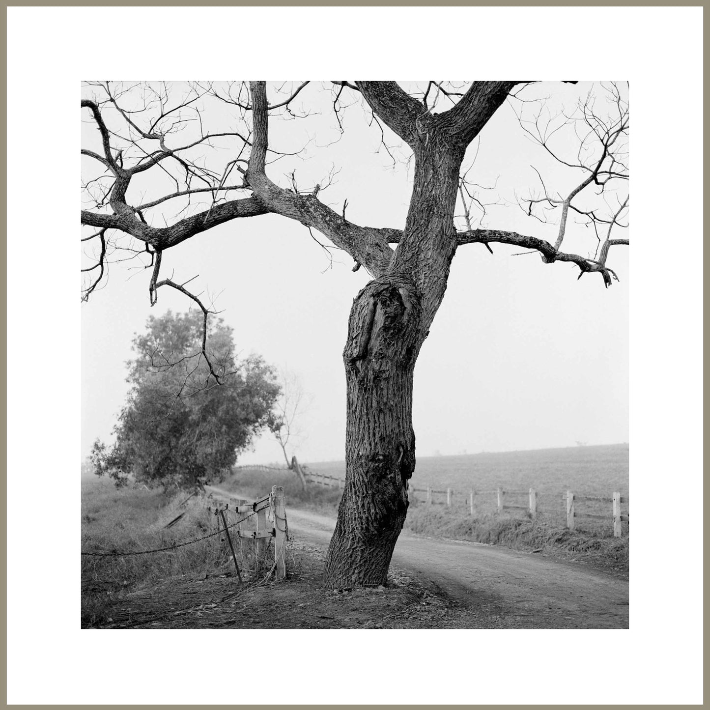 Spirit, Tranquility, and Landscape 36