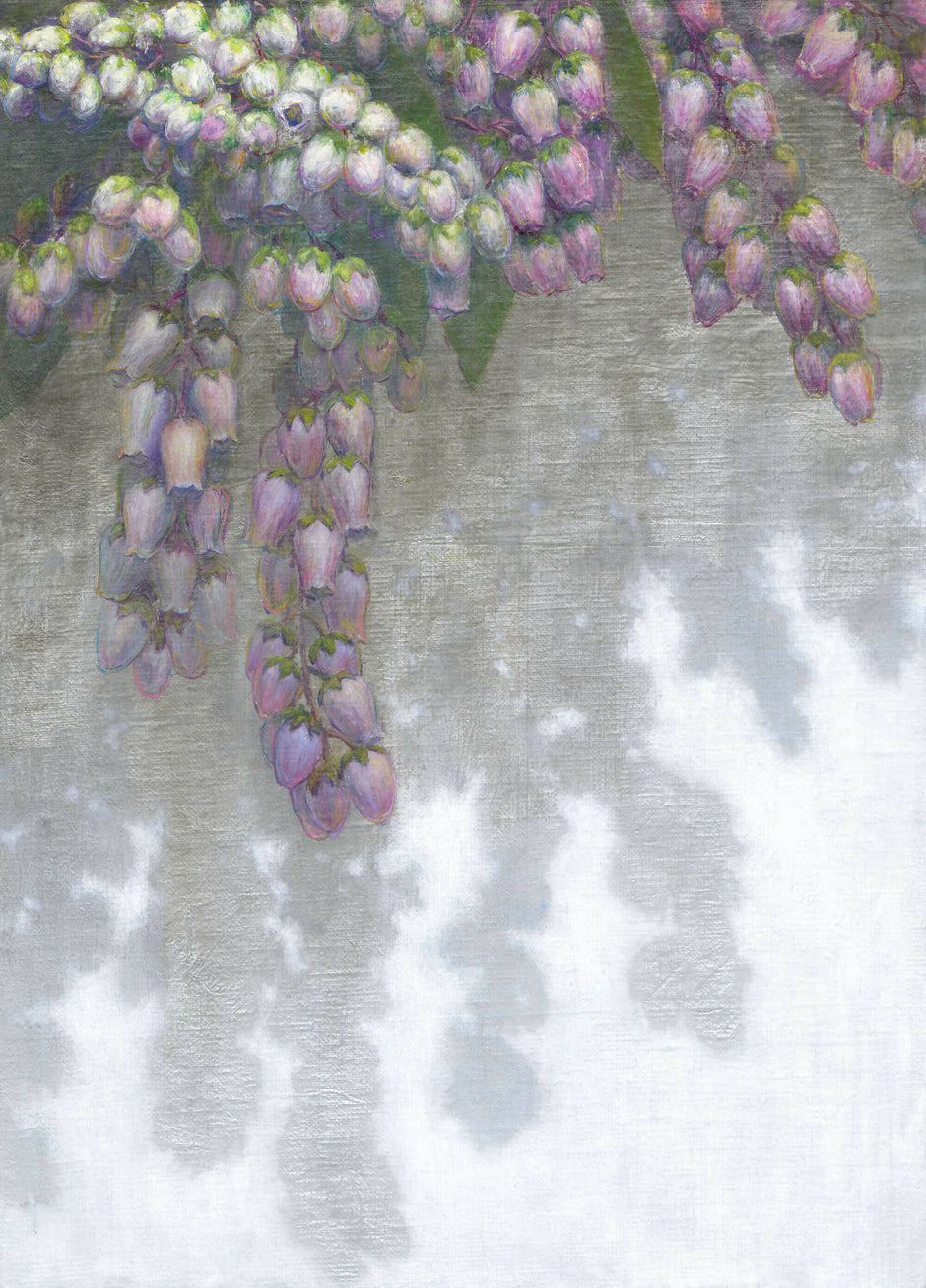 Reflections of Pieris